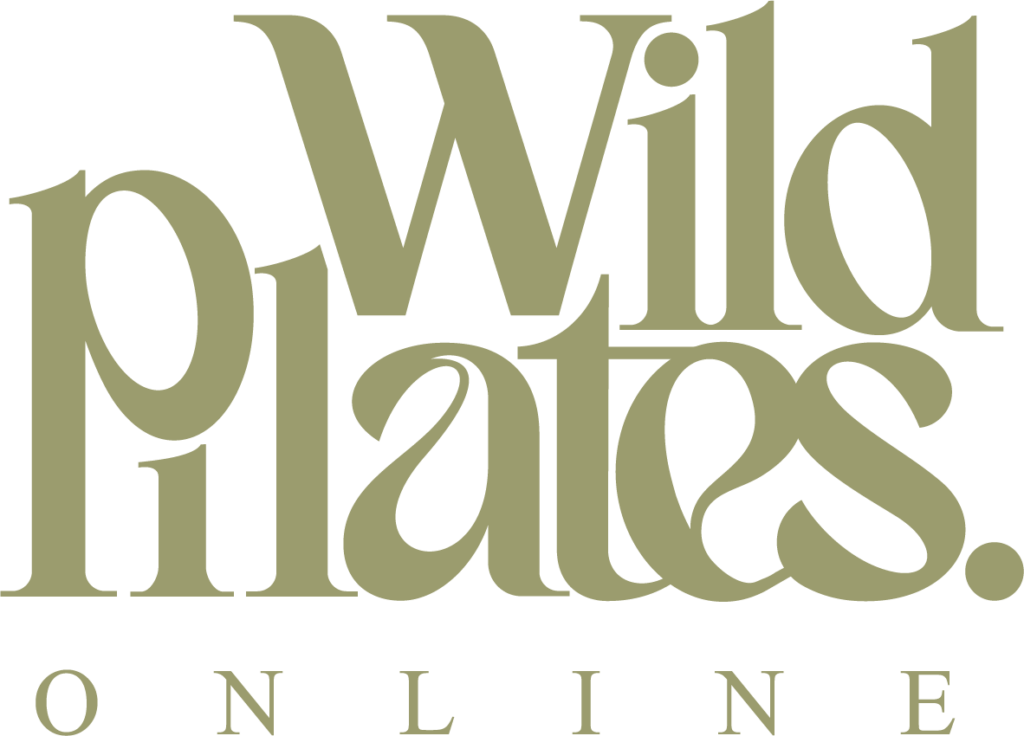 Wild pilates store